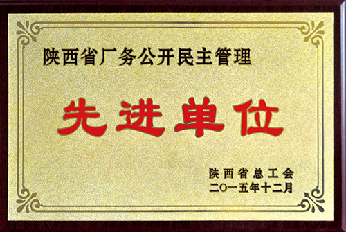 陜西省廠務(wù)公開(kāi)民主管理先進(jìn)單位